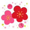 【透過PNG】梅の花