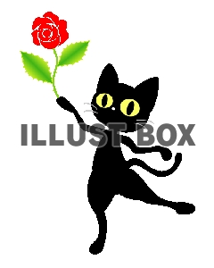 黒猫とバラ【透過PNG】【EPS】