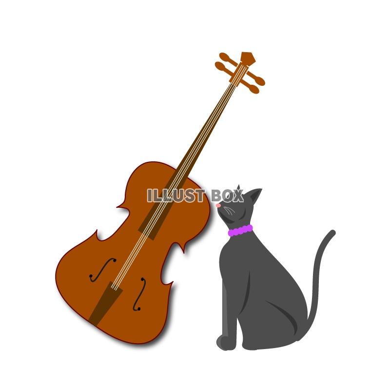 バンド～バイオリンと猫