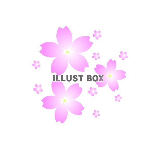 桜の花びら「EPS/PNG]