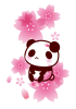 桜とパンダのイラスト【透過PNG】