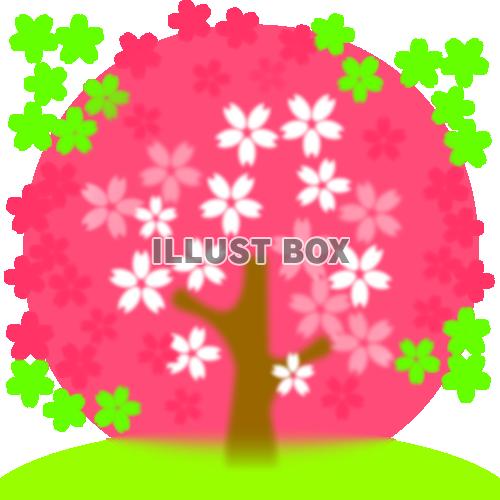 【透過PNG】桜のイラスト