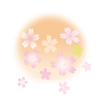 桜と太陽【透過PNG】