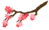 桜の枝　ワンポイント　透過PNG【桜】 