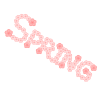 桜の文字：SPRING