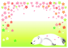 【透過PNG】桜のフレーム