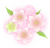 桃の花のイラスト2【透過PNG】