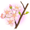 【透過PNGイラスト】　桜の花とつぼみの枝02