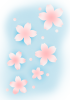 水面のあわい桜【透過PNG】