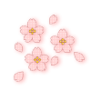かわいい桜(透過PNG)