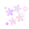 桜の花イラスト水彩風【透過PNG】