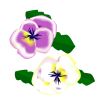 ビオラの花イラストカット【透過PNG】