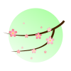桜の素材（グリーン）[透過PNG]