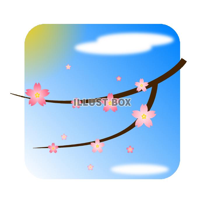 桜の枝と青空[透過PNG]