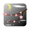 夜桜[透過PNG]