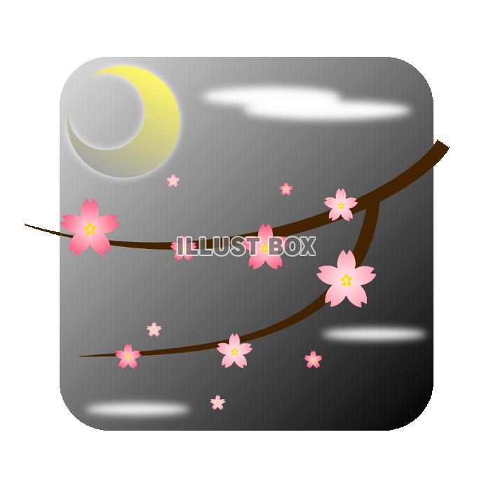 夜桜[透過PNG]