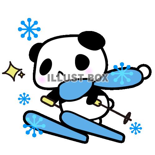 スキージャンプ！パンダちゃんイラスト