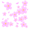 【桜】　桜の花のイラスト