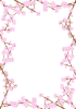 桜の枝の枠