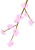 桜の枝