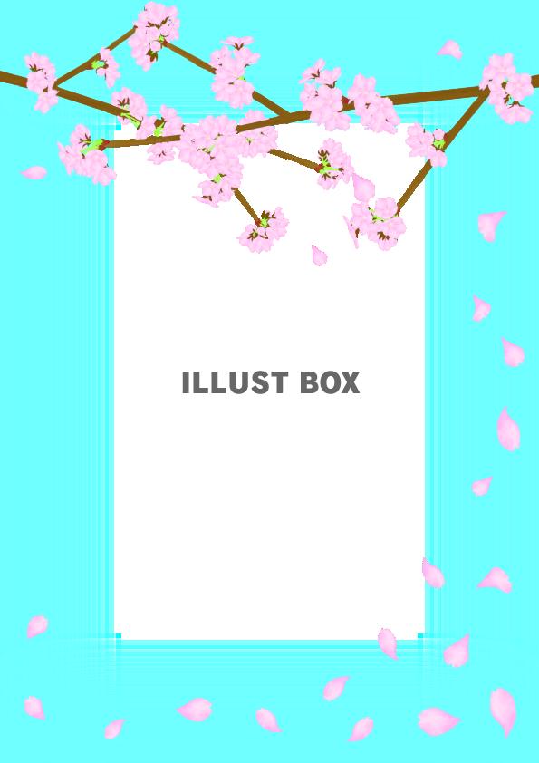 桜の枝と花びらの枠