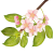 【透過PNGイラスト】　桜の花09　葉桜