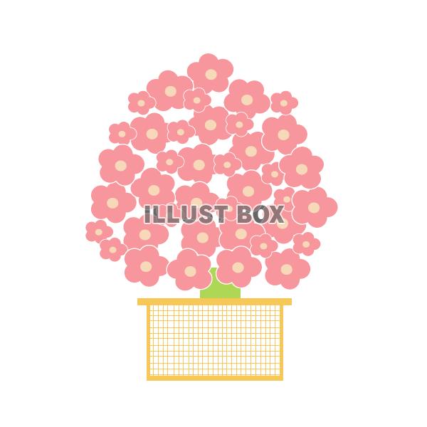 無料イラスト ひな祭り 桃の花