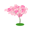 桜の木（PNG)