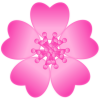 桜（透過PNG）