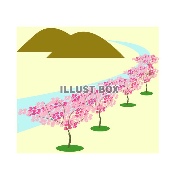 桜の並木風景