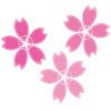 桜の花ワンポイントイラスト【透過PNG】