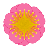 ひな祭り☆桃の花（透過PNG）