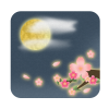 【桜】綺麗な夜桜