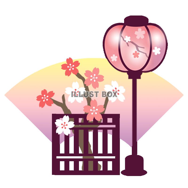 雛飾り　左近の桜　透過PNG