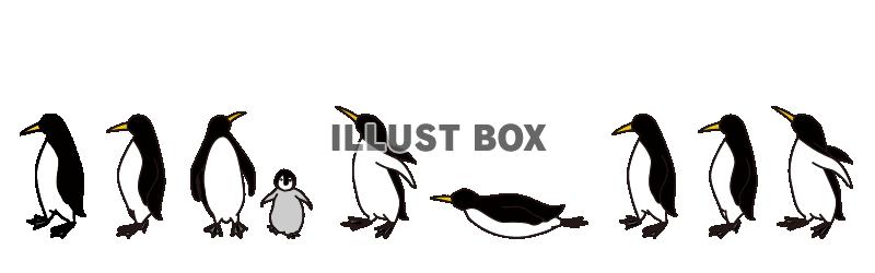 かわいい ペンギンのイラストが無料 イラストボックス