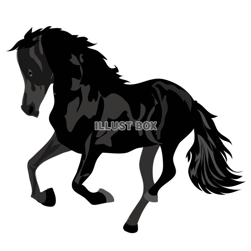 黒い馬のイラスト