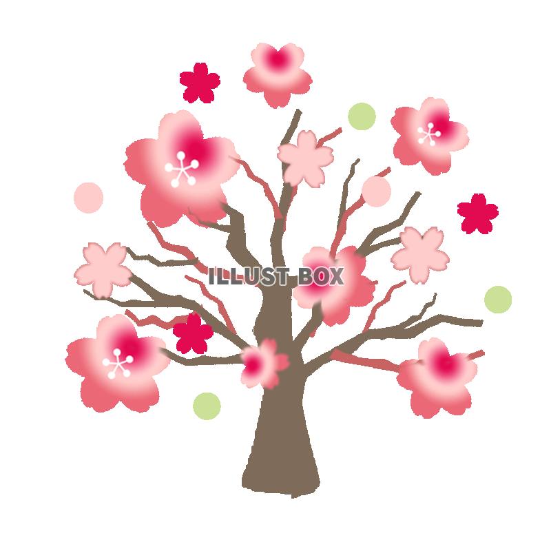 無料イラスト 大きな桜の木 透過png