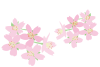 桜の花のイラスト