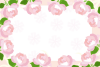 ピンクの薔薇の花のフレーム