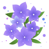 無料イラスト 桔梗の花イラスト 透過png