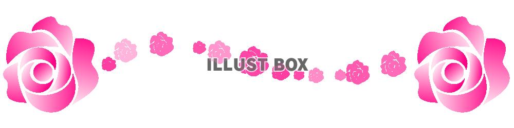 薔薇のライン（ピンク）[透過PNG]