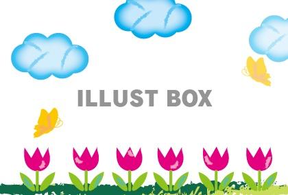 無料イラスト 卒園式や入園式のチューリップのメッセージカード