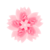 八重桜 [透過PNG]