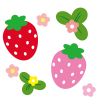 苺のイラスト【透過PNG】