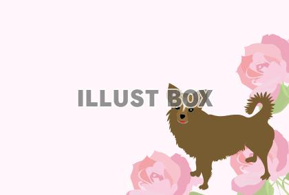 かわいい犬のメッセージカード