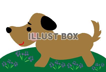 無料イラスト かわいい犬の野原のお散歩のイラスト