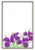 菖蒲の花のフレーム・紫