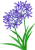 アガパンサスの花【透過PNG】