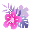 ハイビスカスの花ピンク　透過ＰＮＧ