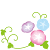 あさがおの花イラスト2【透過PNG】